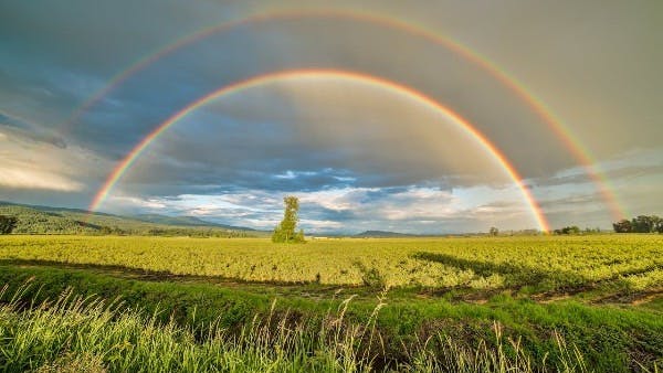 A vibrant double rainbow arcs gracefully over a picturesque field in Pitt Meadows, Canada. 